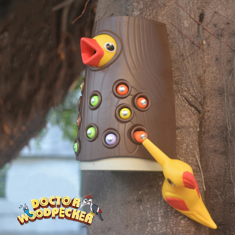 Magnetic Bird Feeding