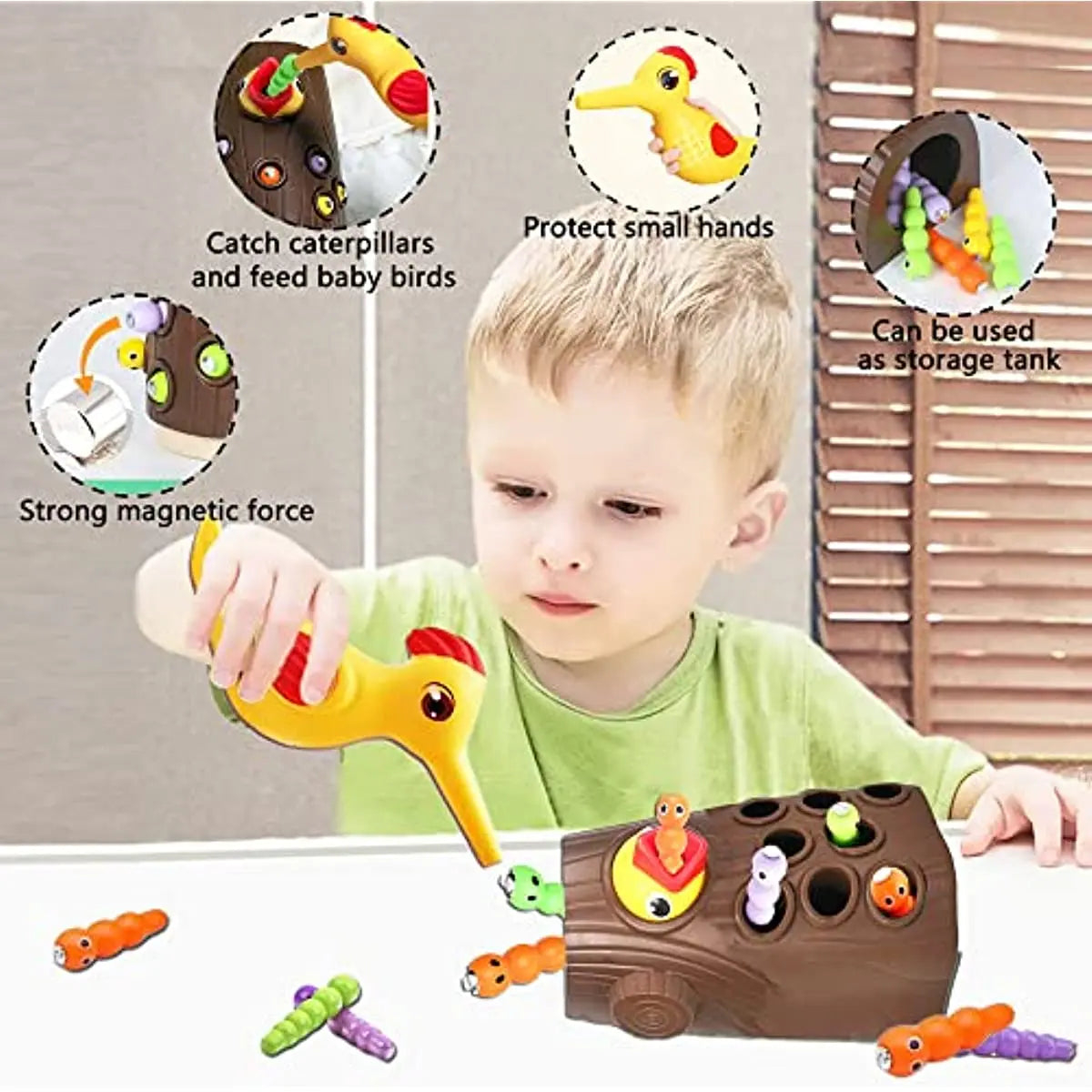 Magnetic Bird Feeding