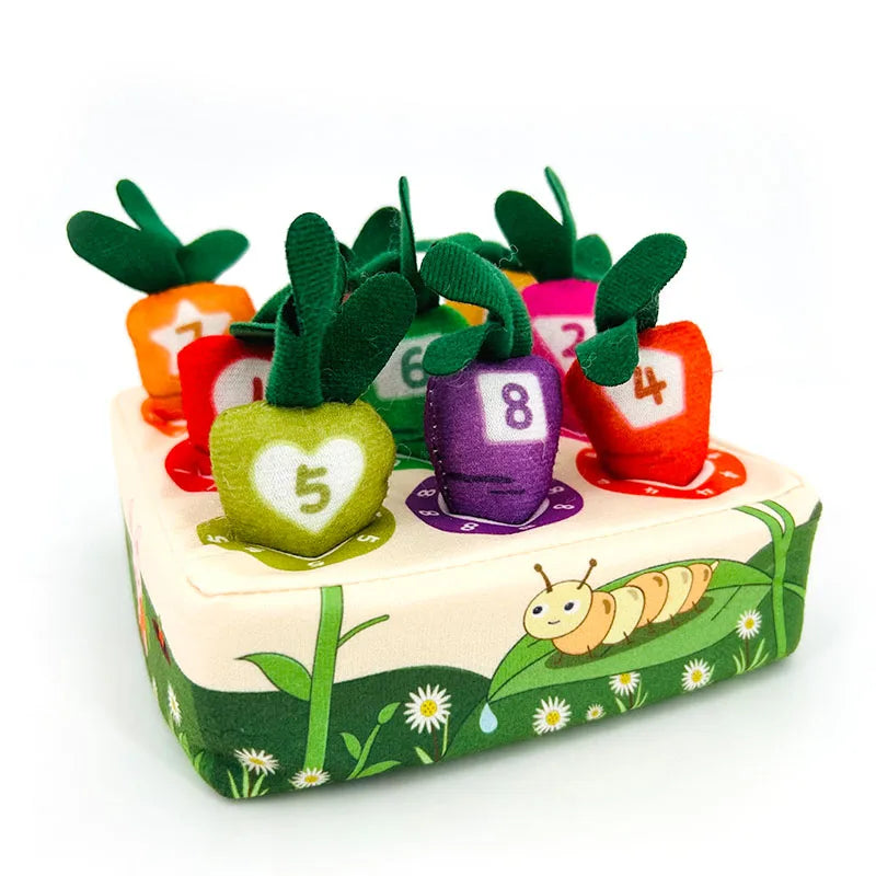 Baby Craft Educational Sensory Toys