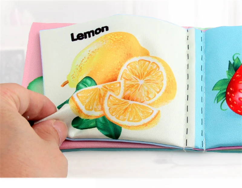 Baby Cloth Book (variety)