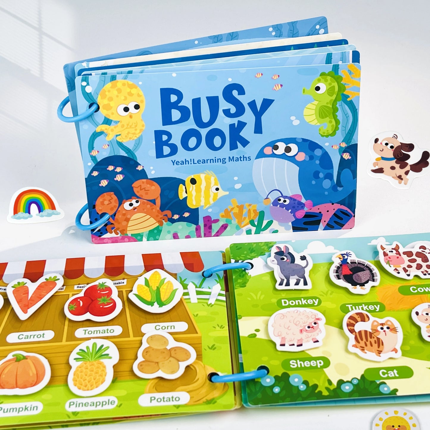 Busy Book Puzzle