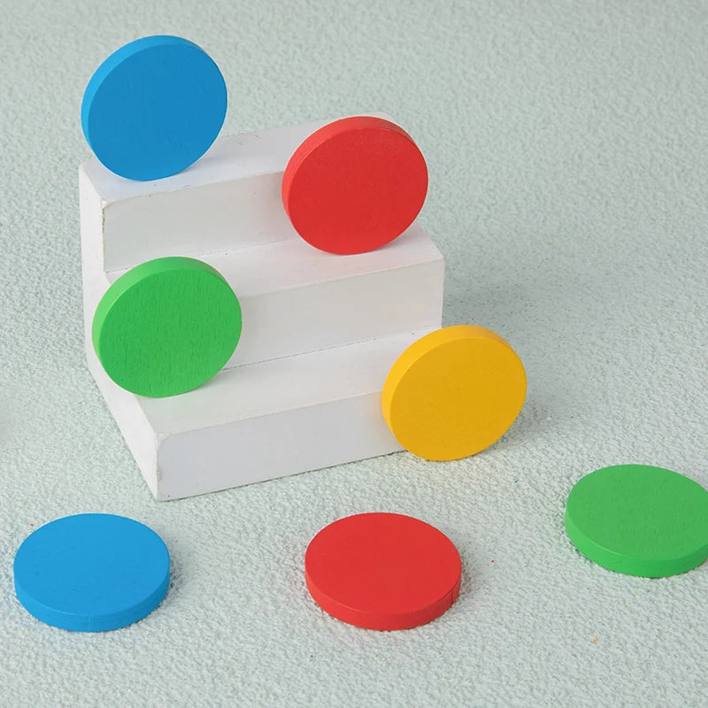 Montessori Logical Puzzle