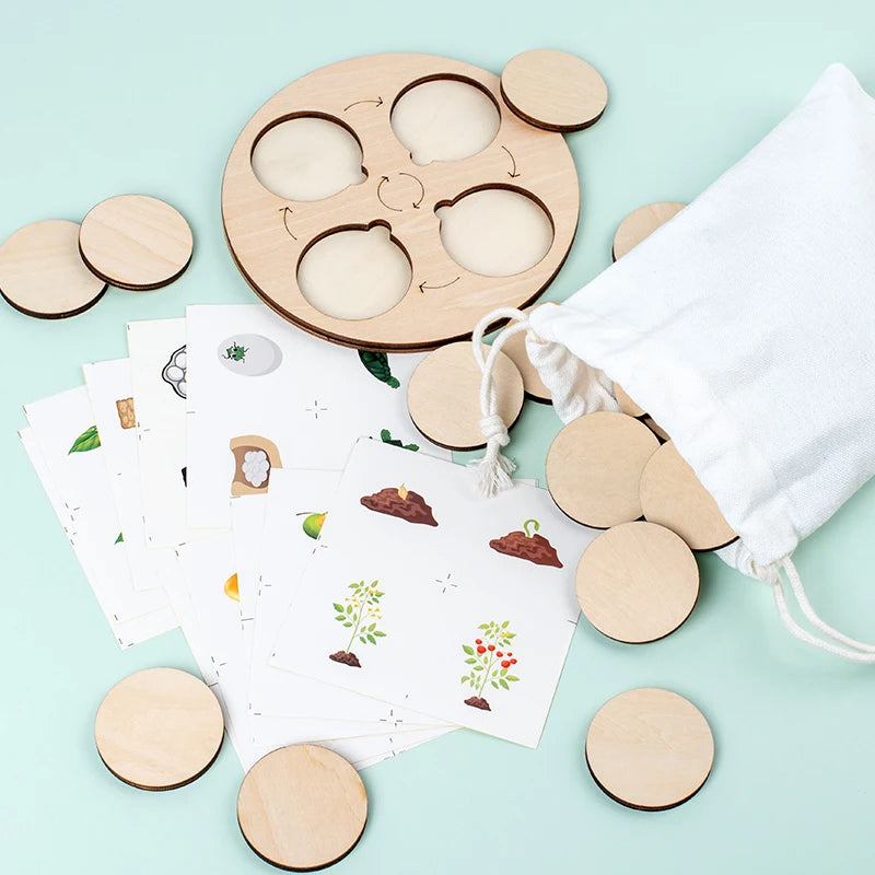 Life Cycle Board Montessori Kit