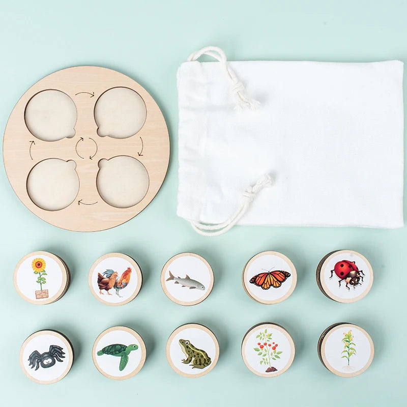 Life Cycle Board Montessori Kit
