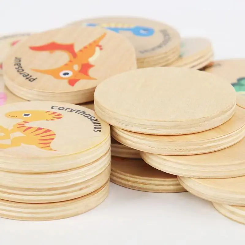 Montessori Memory & Matching Puzzle