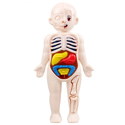 Kid Montessori Teaching 3d Puzzle